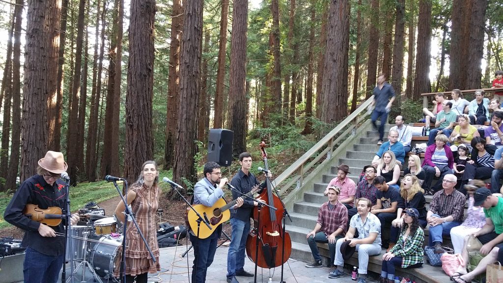 Concert in the Redwood Grove