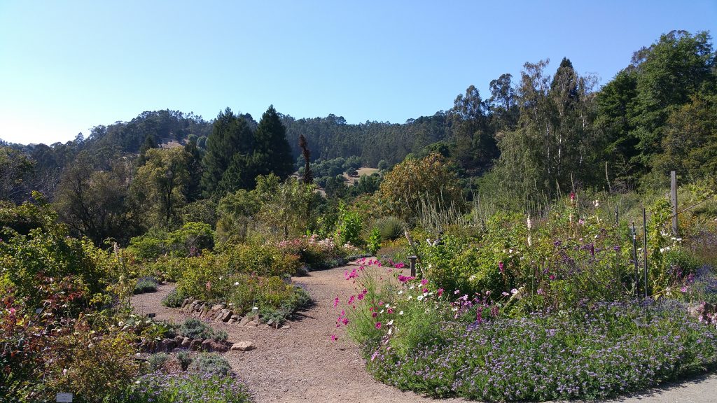 UC Botanical Garden_3