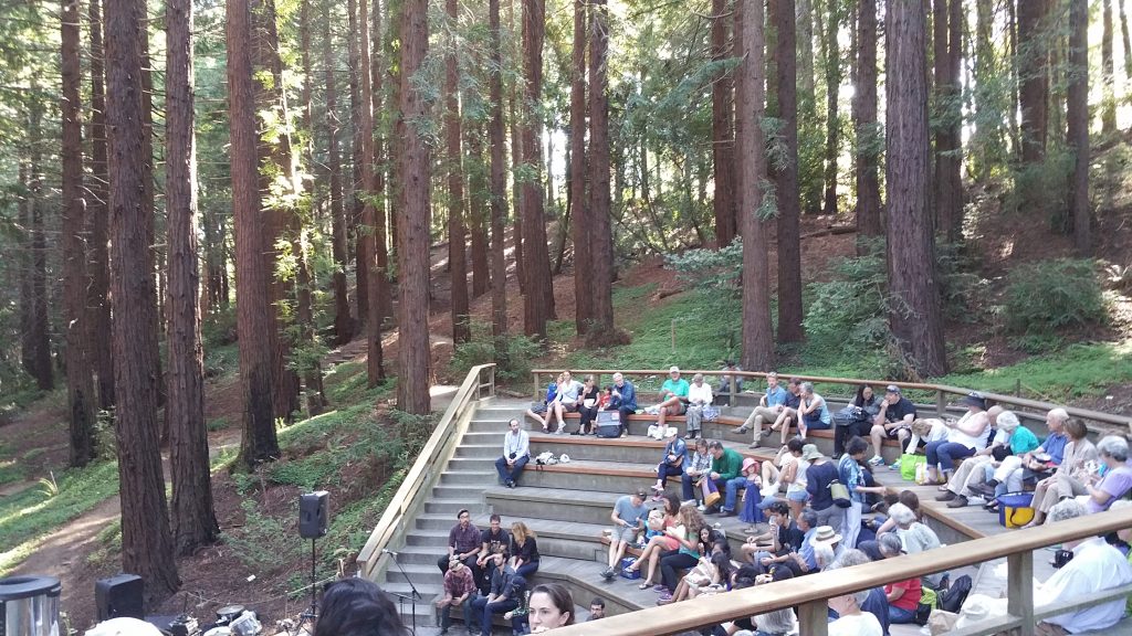 Concert in the Redwood Grove_1