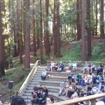Concert in the Redwood Grove_1