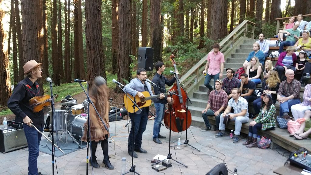 Concert in the Redwood Grove_2