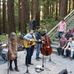 Concert in the Redwood Grove_2