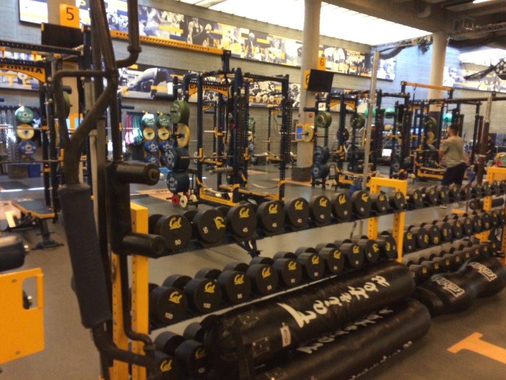 Weights section of Athletes' gym
