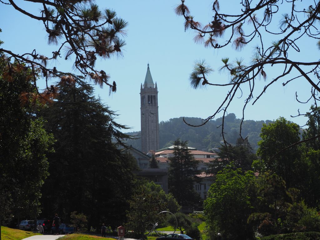 Sather Tower in the distance_1