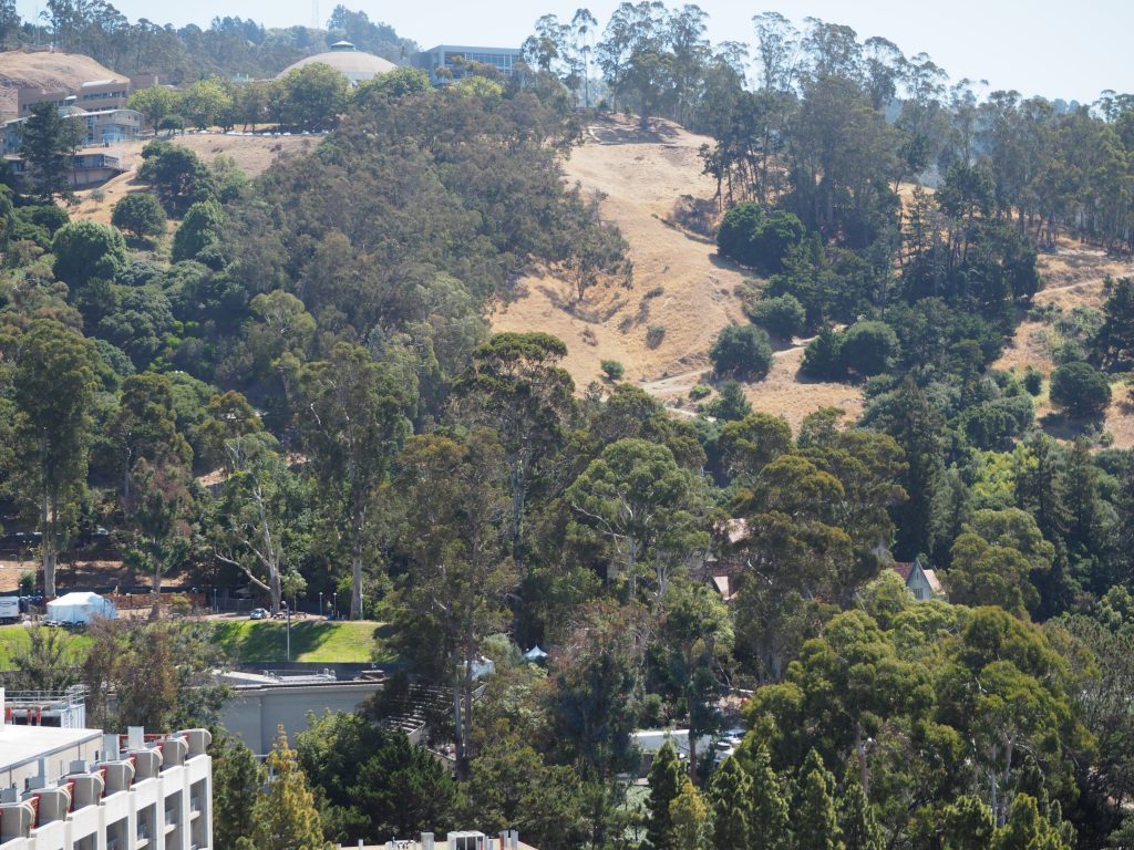 View from Sather Tower_1