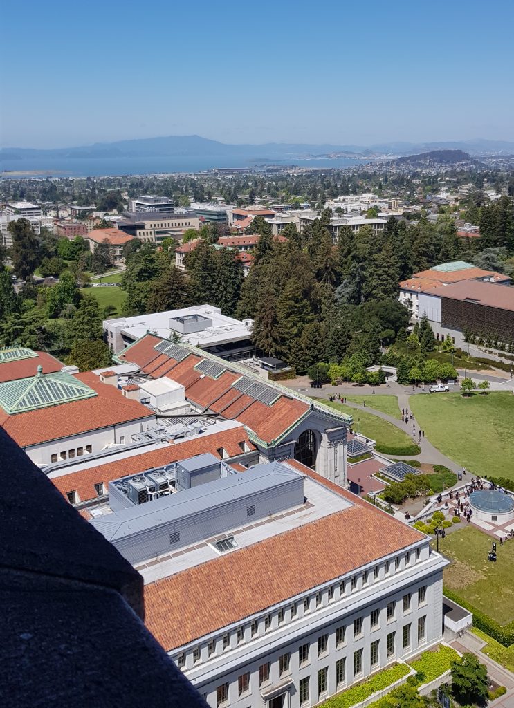 View of Berkeley campus from Sather Tower