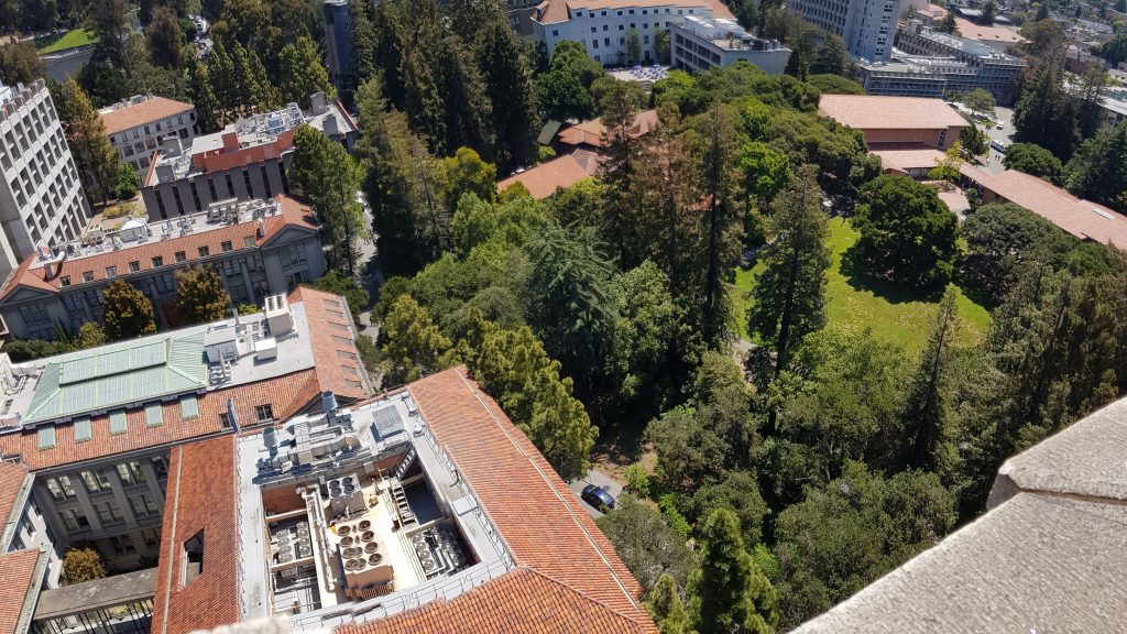 View from Sather Tower