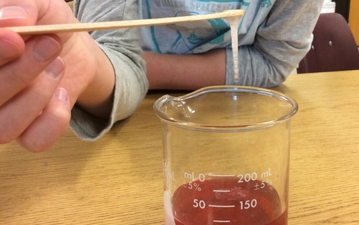 Strawberry DNA extraction